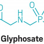 Glyphosate